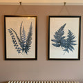 Indigo Fern Botanical Illustration Digital Art Set