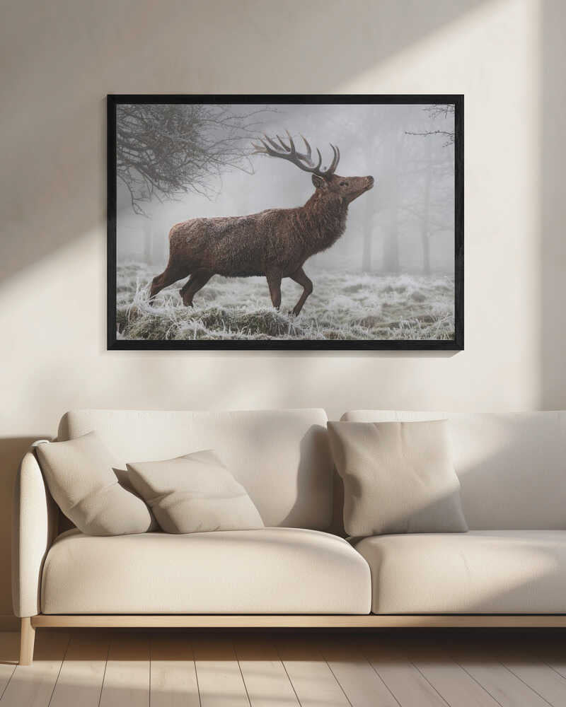 Majestic Stag in Misty Forest Digital Artwork