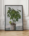 Potted Green Plant Digital Artwork