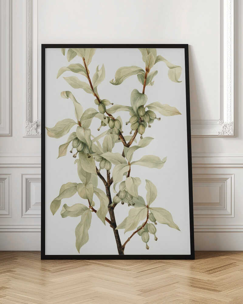 Botanical Branch Watercolor Digital Artwork