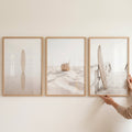 Neutral Coastal Surf Triptych