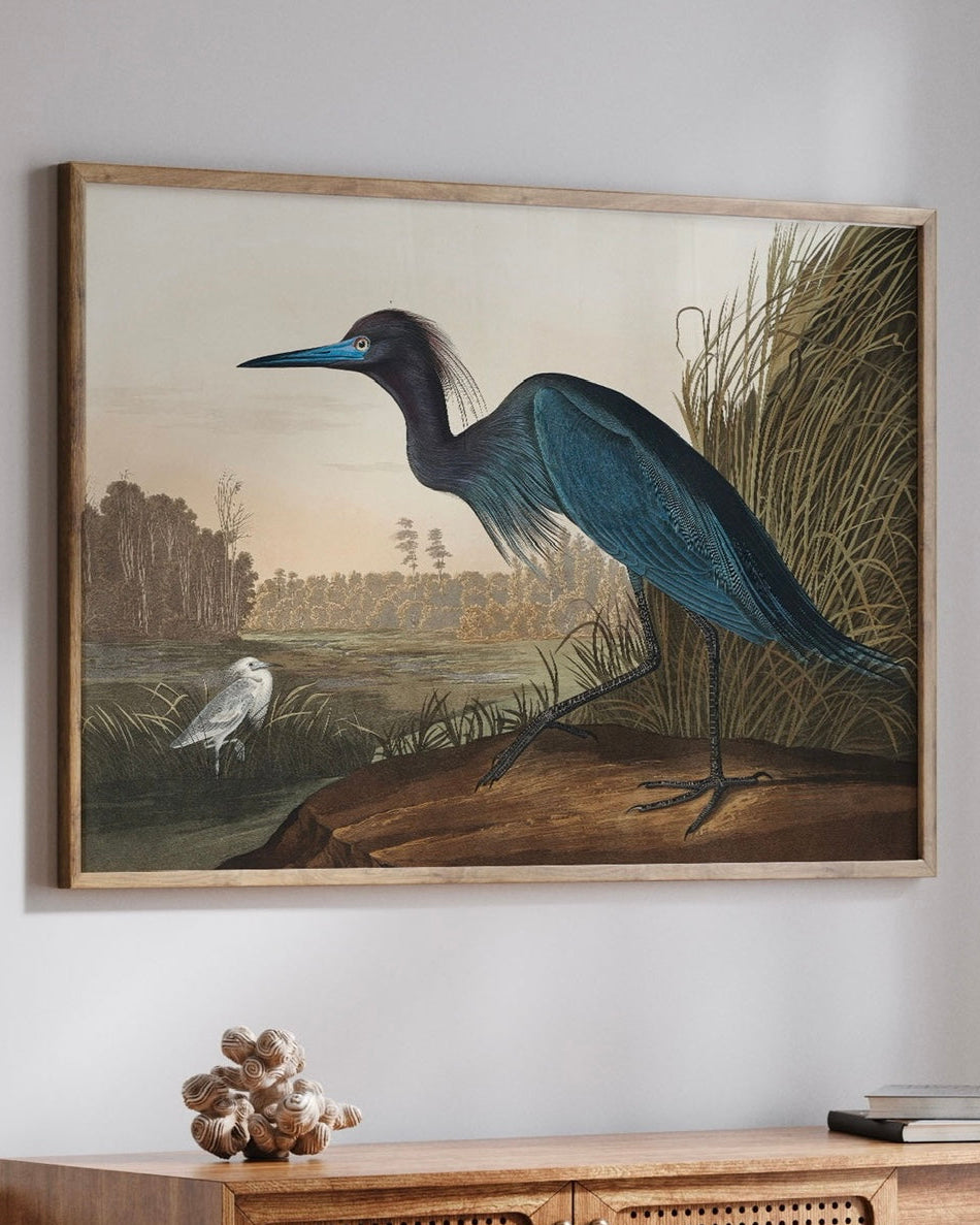 Vintage Blue Heron Illustration