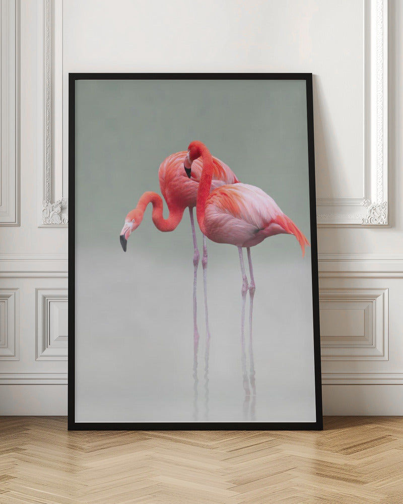 Graceful Flamingos Digital Artwork