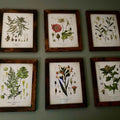 Vintage Botanical Gallery Wall Set Digital Download