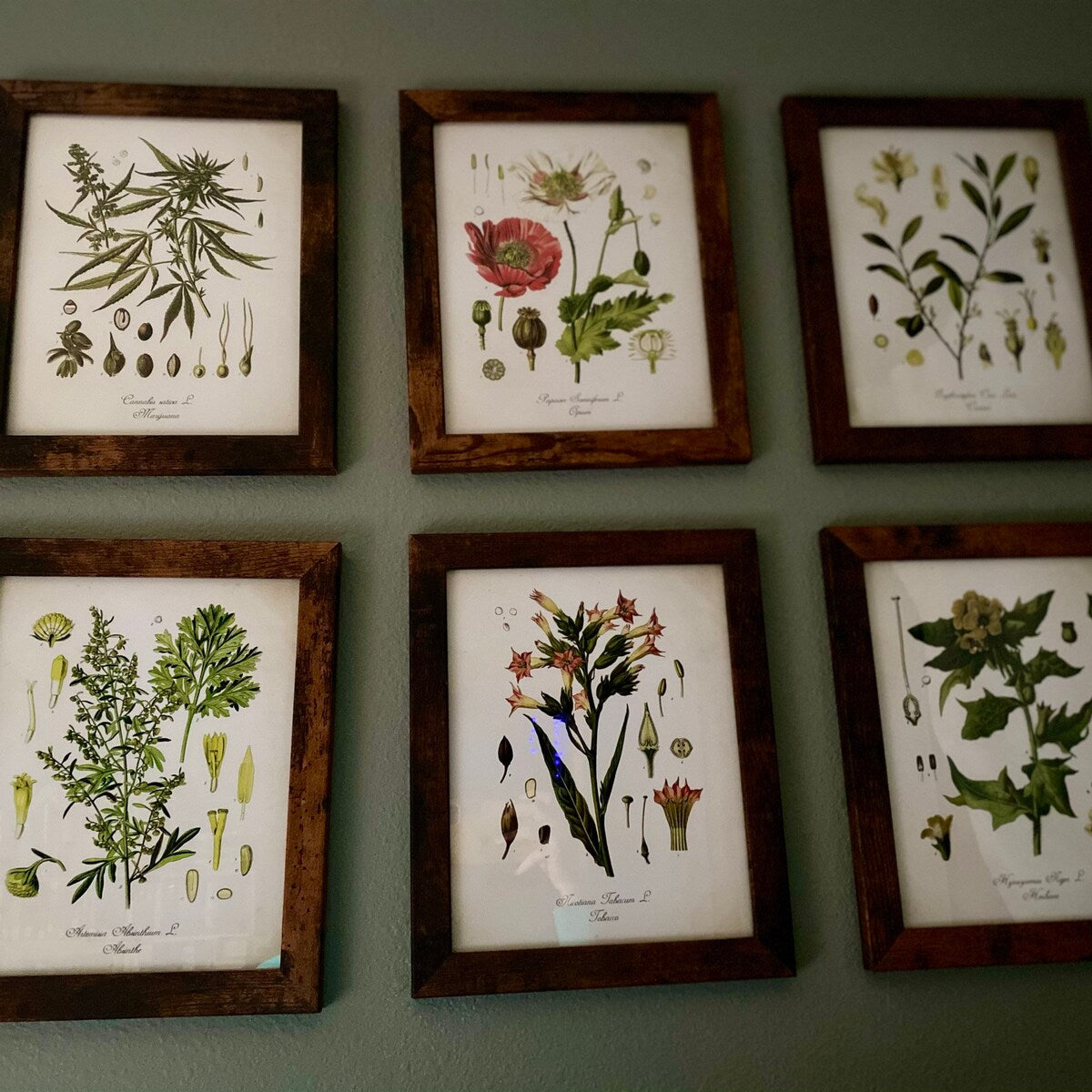 Vintage Botanical Gallery Wall Set Digital Download