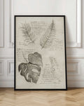 Botanical Studies Sketch Digital Download