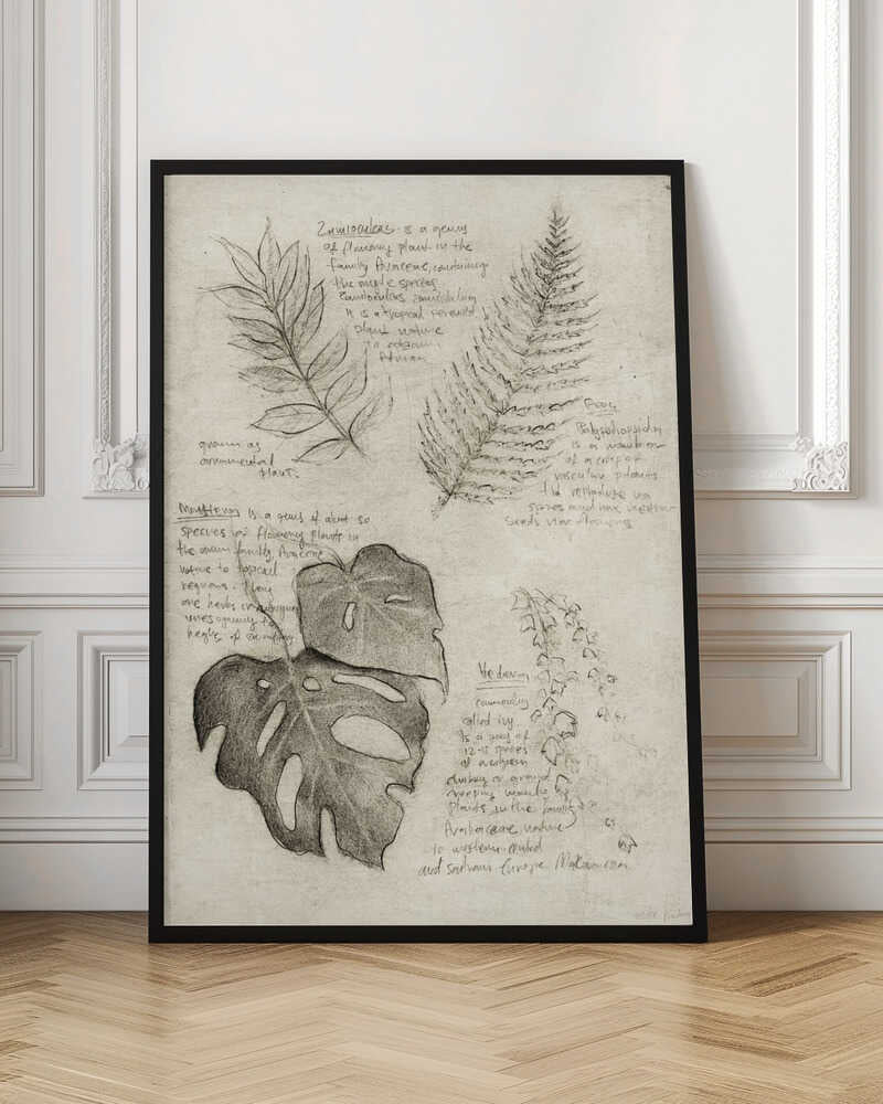 Botanical Studies Sketch Digital Download