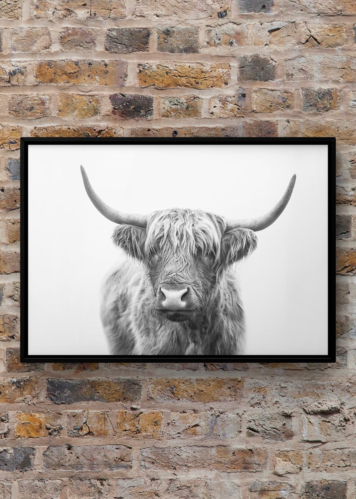 Highland Cow Monochrome Digital Download
