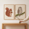 Woodland Friends Squirrel and Owl Digital Art Set