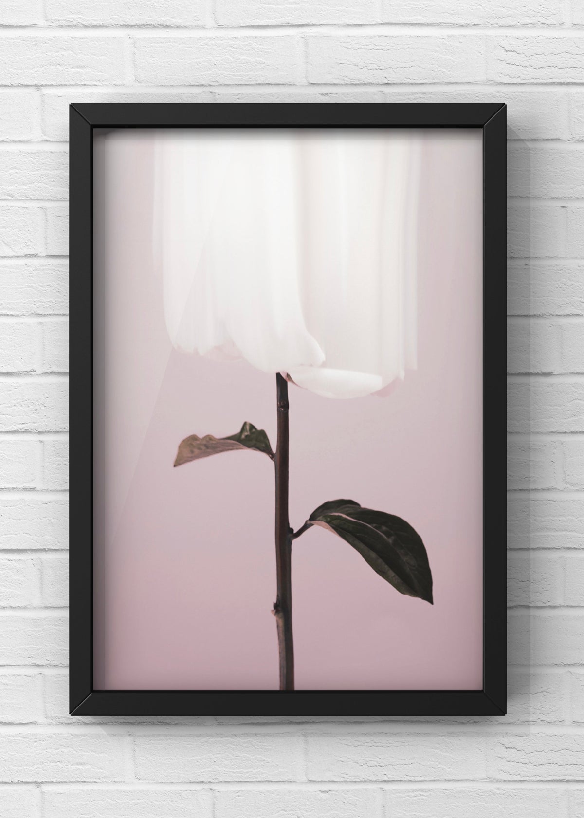 Ethereal White Bloom Digital Art