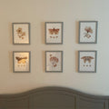 Boho Botanical Butterfly and Moth Digital Art Set