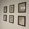Charming Goose Gallery Wall Set Digital Download