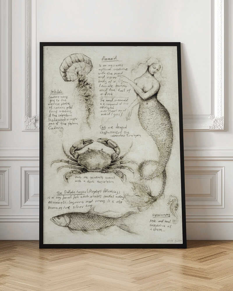 Vintage Mermaid and Marine Biology Sketches Digital Art