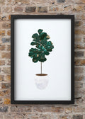Emerald Fiddle Leaf Fig Digital Art