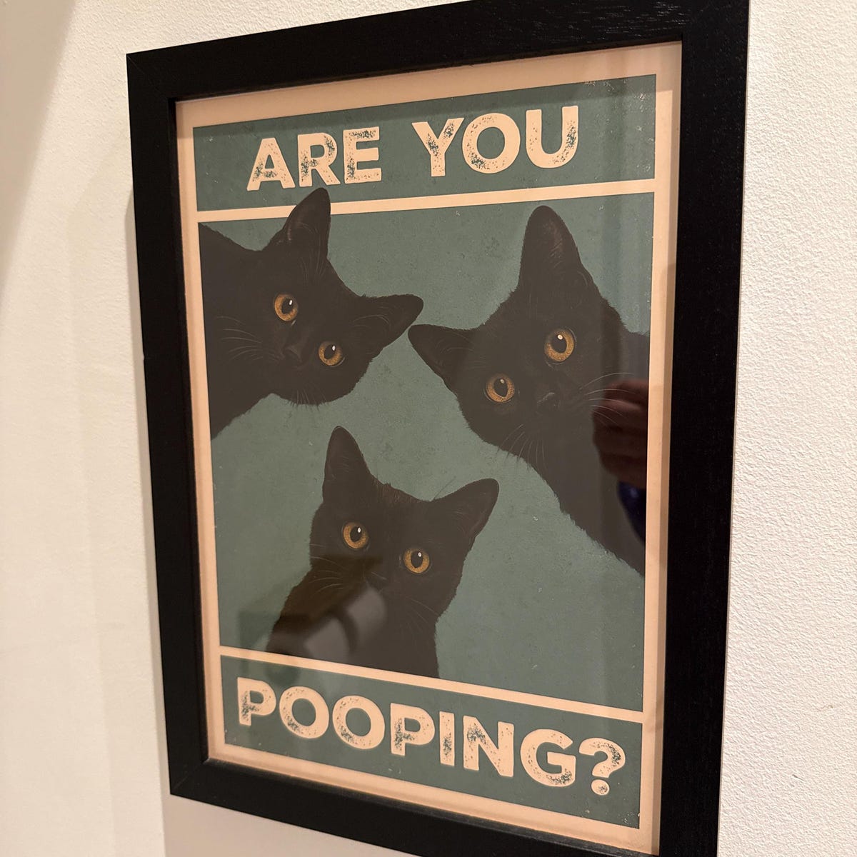 Are You Pooping Funny Black Cats Digital Art