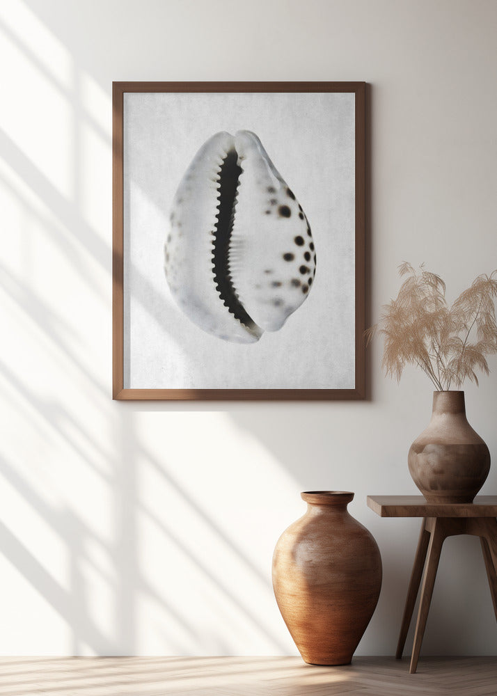 Minimalist Seashell Digital Print