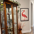 Scarlet Ibis Digital Bird Illustration