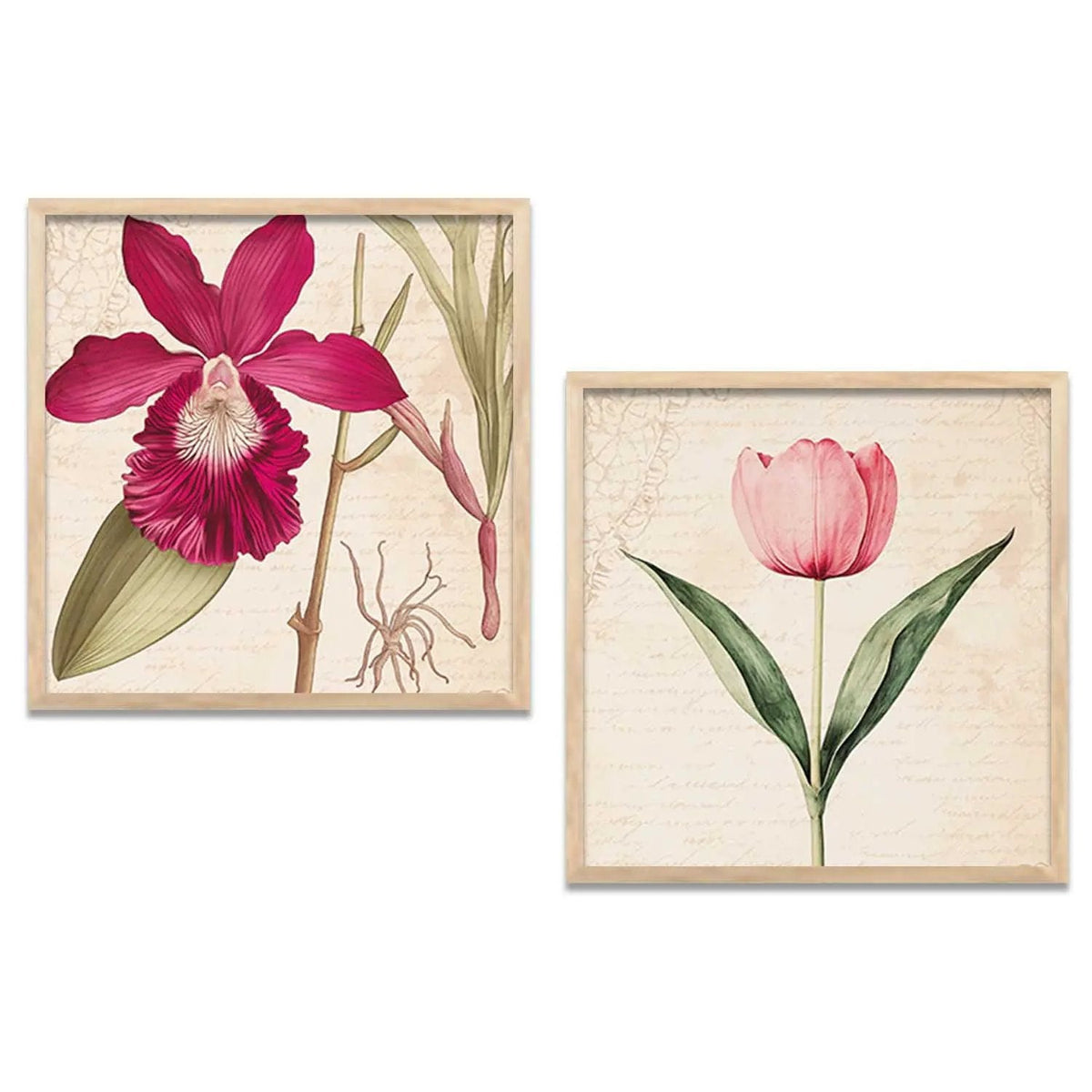 Vintage Botanical Orchid and Tulip Digital Art Prints