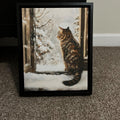 Winter Window Cat Digital Art