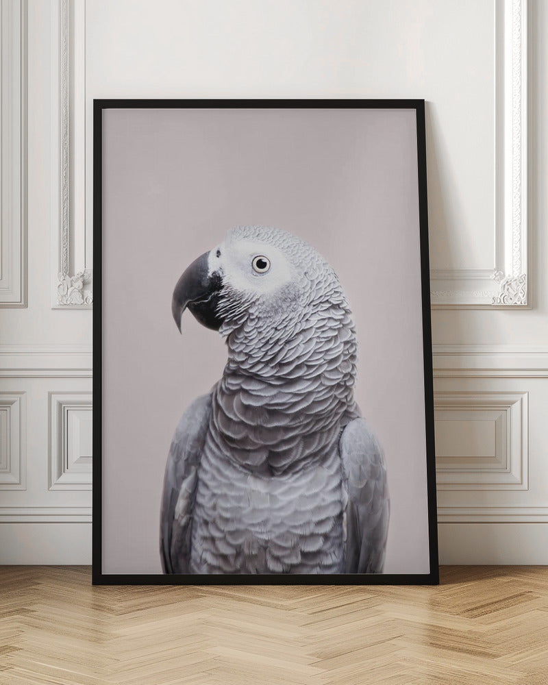 Elegant African Grey Parrot Digital Art