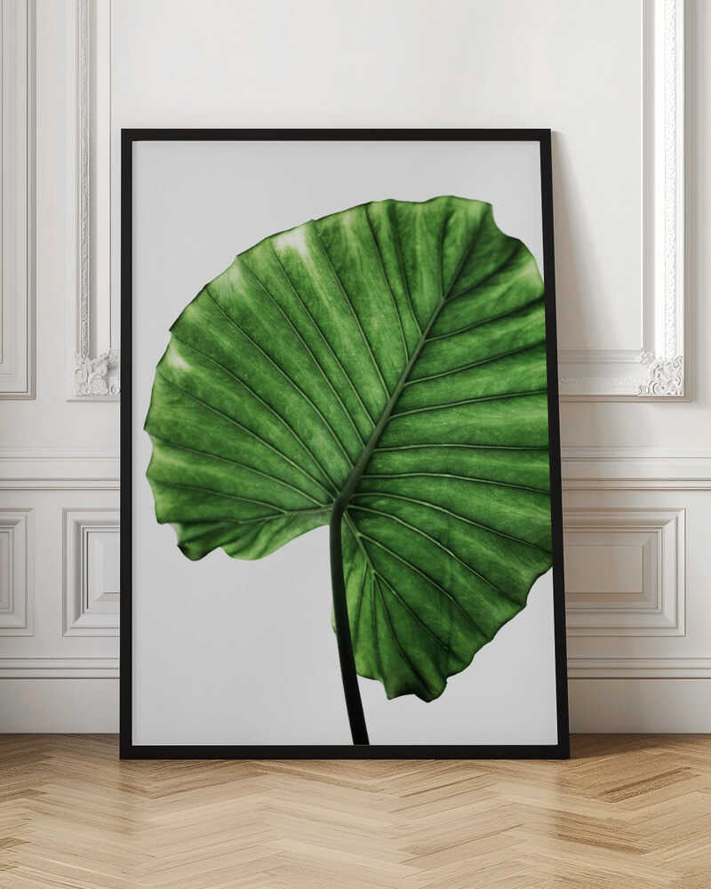 Botanical Leaf Digital Art