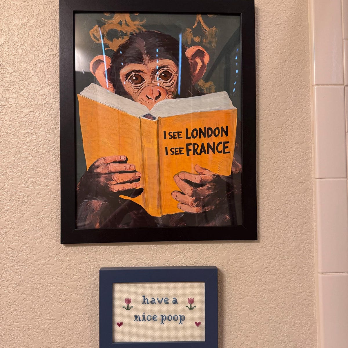 Reading Chimp Funny Digital Artwork