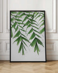 Verdant Palm Fronds Botanical Digital Download
