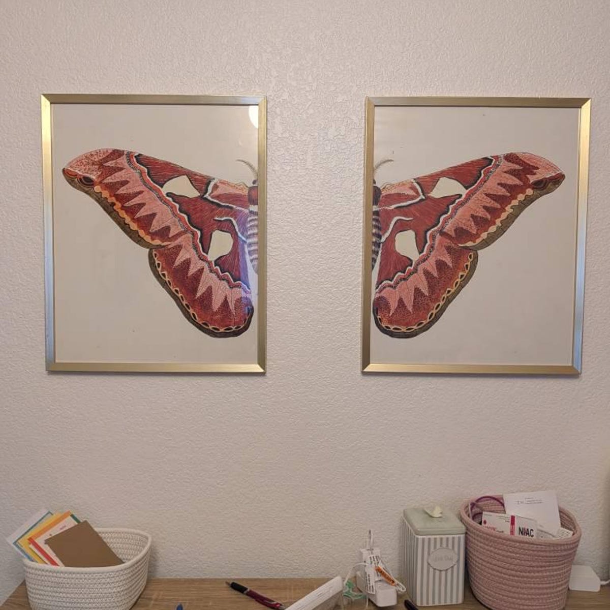 Symmetrical Moth Wings Split Diptych Digital Art