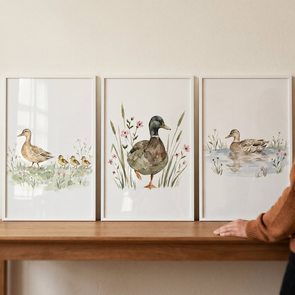 Watercolor Duck Family Trio Digital Art Set