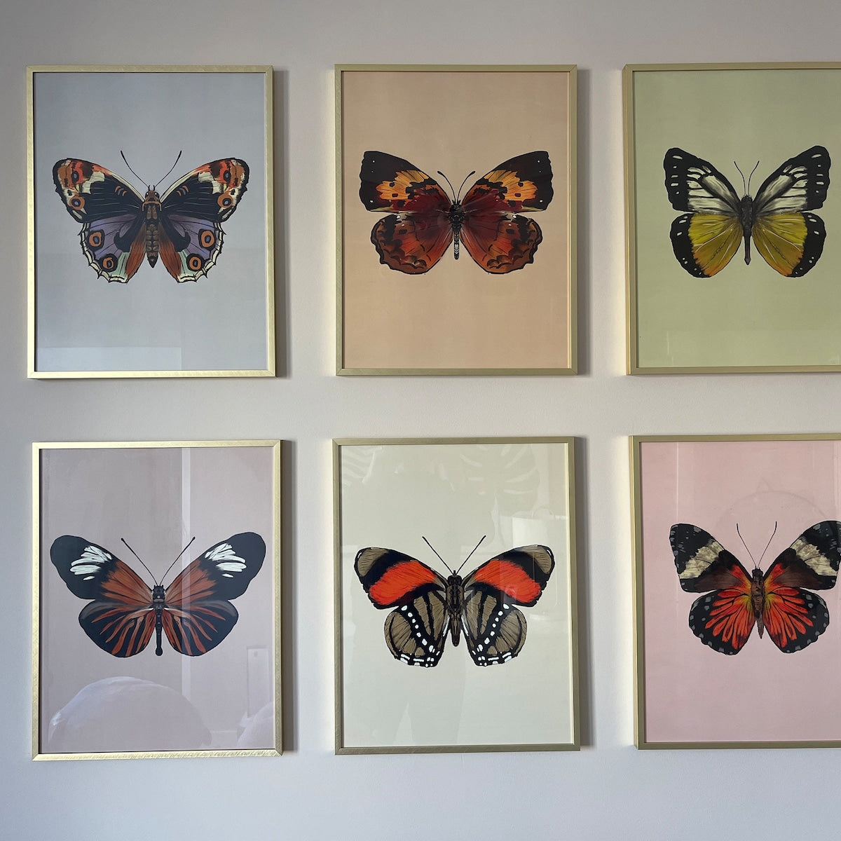 Vintage Butterfly Collection Digital Art Set