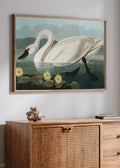 Vintage American Swan Digital Art