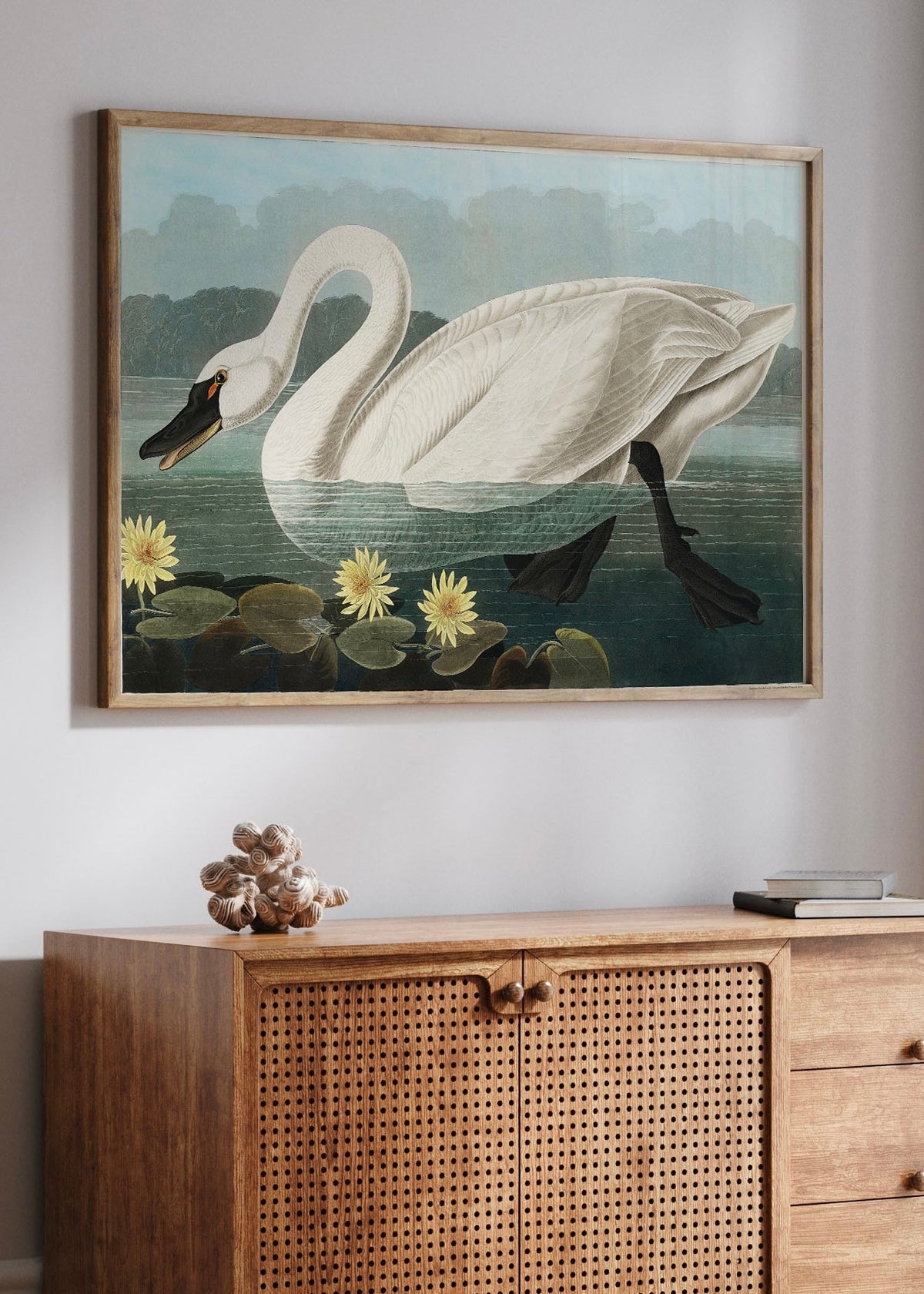 Vintage American Swan Digital Art