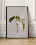 Variegated Leaf Botanical Digital Artwork