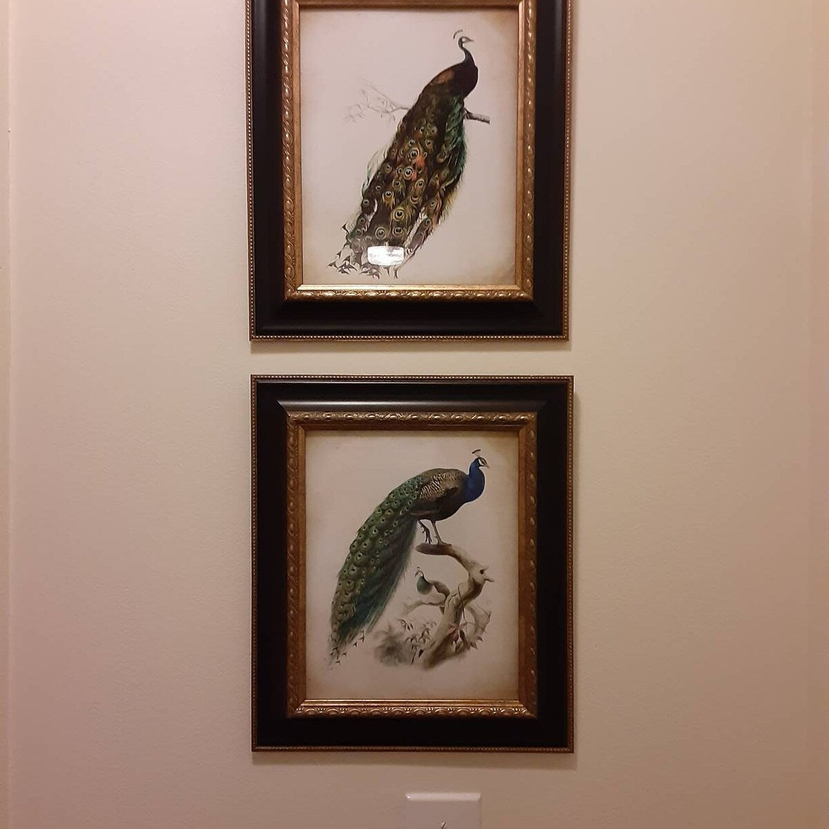 Vintage Peacock Pair Digital Art Prints