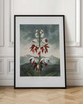 Vintage Botanical Orchid Digital Art