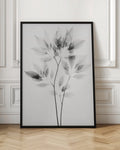 Botanical X-Ray Leaves Digital Art