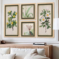 Vintage Botanical Gallery Wall Set