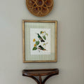 Vintage Hummingbird Botanical Digital Art