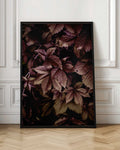 Dark Burgundy Foliage Digital Art