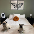 Minimalist Monarch Butterfly Split Diptych Digital Art
