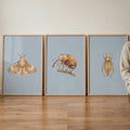 Charming Watercolor Insects Digital Art Set