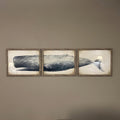 Vintage Whale Triptych Digital Art