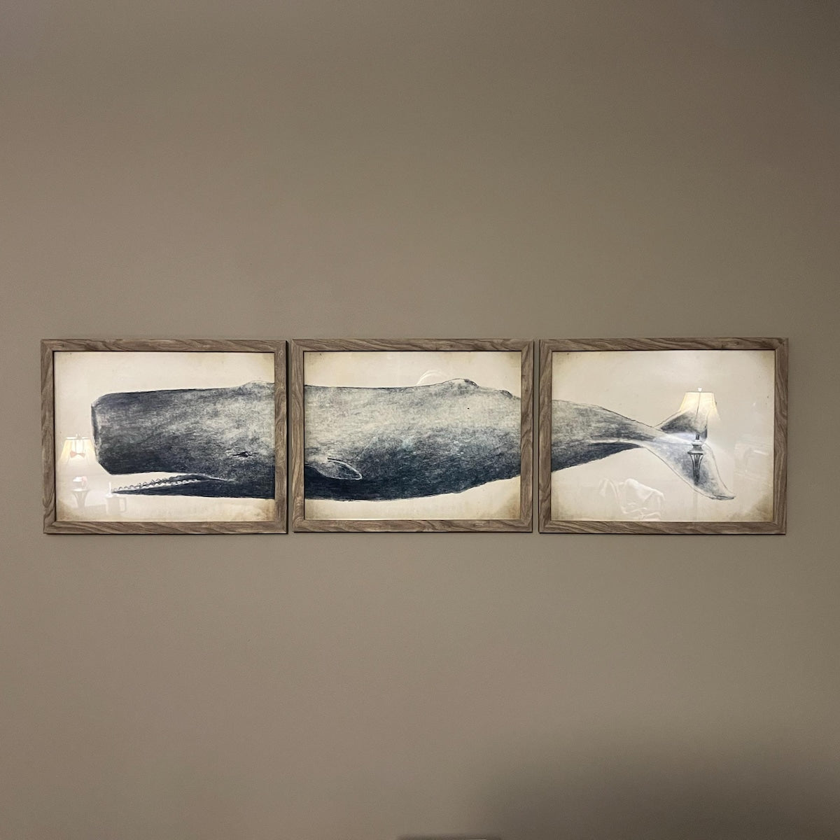 Vintage Whale Triptych Digital Art