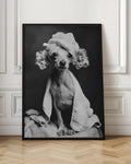 Chic Spa Dog Digital Photography