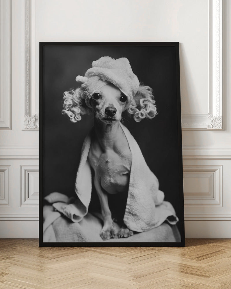 Chic Spa Dog Digital Photography