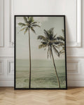 Misty Palm Trees Digital Download