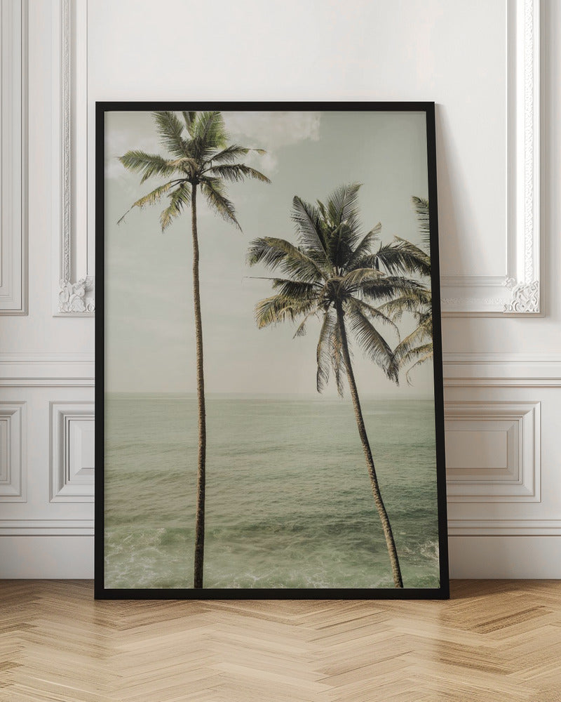 Misty Palm Trees Digital Download