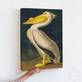 Vintage American White Pelican Digital Art Print