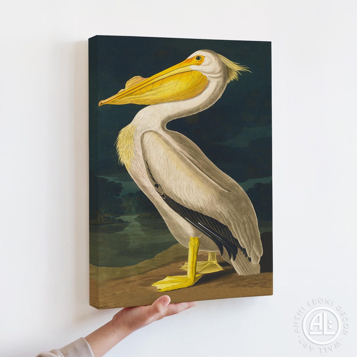 Vintage American White Pelican Digital Art Print
