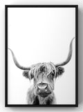 Highland Cow Monochrome Digital Art